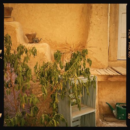 Baben Home Siwa Oasis Экстерьер фото